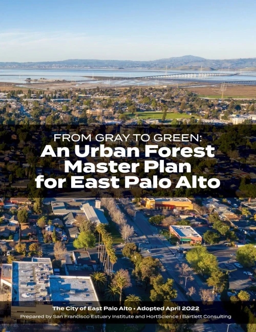 From Gray To Green -- An Urban Forest Master Plan For East Palo Alto