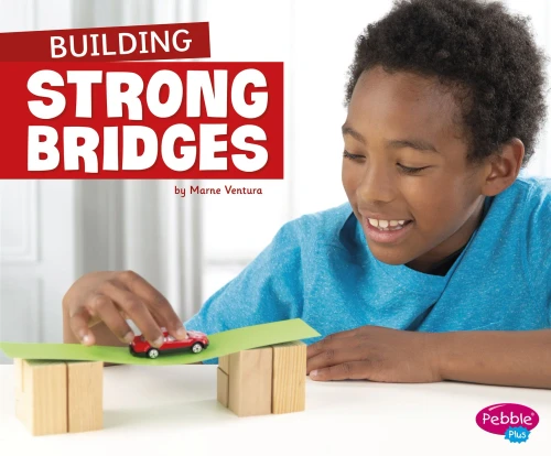 Building Strong Bridges (Fun STEM Challenges) - 9781977117793