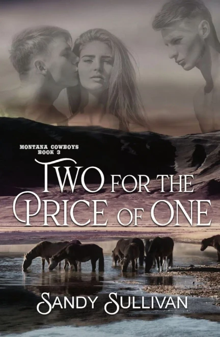 Two For The Price Of One: Montana Cowboys 3