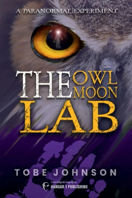The Owl Moon Lab : A Shared Paranormal Experiment