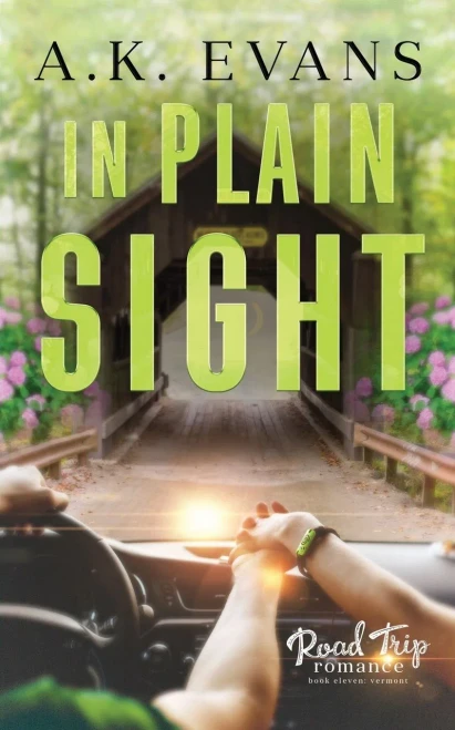 In Plain Sight (Road Trip Romance)