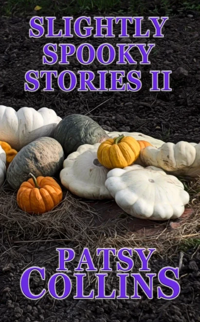 Slightly Spooky Stories Ii: A Collection Of 24 Short Stories