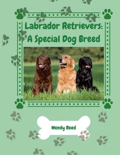 Labrador Retrievers: A Special Dog Breed