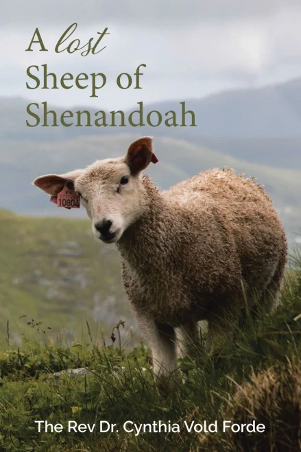 A Lost Sheep Of Shenandoah: Charles Edwin Rinker Of Virginia And Harry Bernard King Of Iowa: Dna Reveals They Were The Same Man