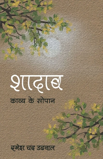 Shadaab (Hindi Edition)