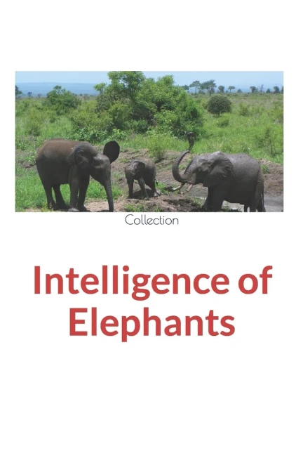 Intelligence Of Elephants