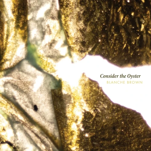 Consider the Oyster