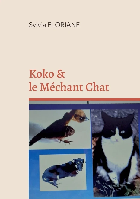Koko Et Le Méchant Chat (French Edition)