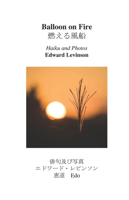 Balloon On Fire: Haiku And Photos
