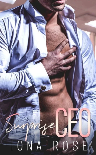 Surprise Ceo: An Office Romance