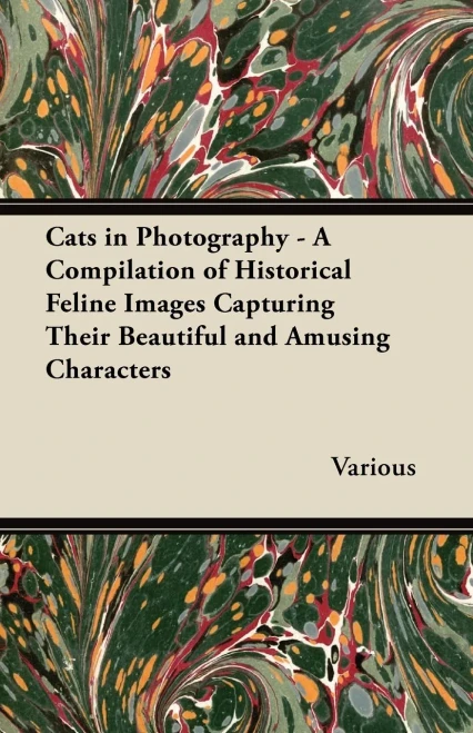 Cats In Photography - A Compilation Of Historical Feline Images Capturing Their Beautiful And Amusing Characters