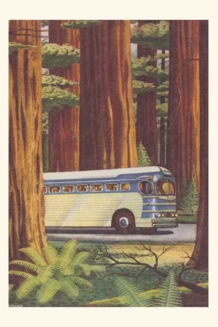 Vintage Journal Bus In Redwoods (Pocket Sized - Found Image Press Journals)