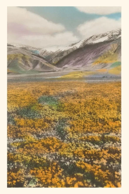Vintage Journal California Poppies (Pocket Sized - Found Image Press Journals)