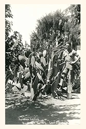 Vintage Journal Spineless Cactus, Burbank Garden (Pocket Sized - Found Image Press Journals)