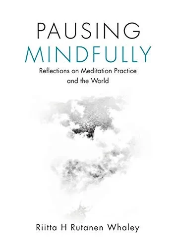 Pausing Mindfully: Reflections on Meditation Practice and the World