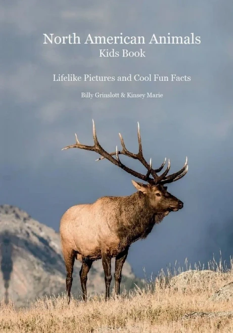 North American Animals Kids Book : With Lifelike Pictures And Cool Fun Facts