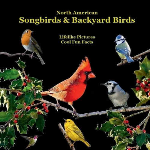 North American Songbirds & Backyard Birds Kids Book : With Lifelike Pictures And Cool Fun Facts
