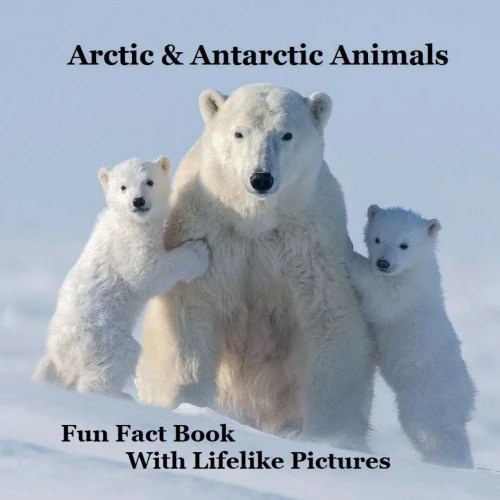 Arctic & Antarctic Animals Kids Book With Lifelike Pictures : Learn Some Fun Facts About The Animals From The Frozen World