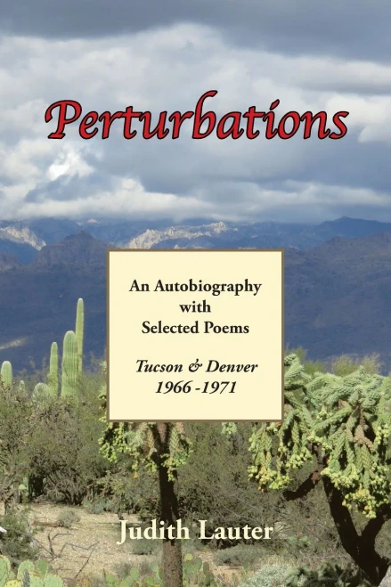 Perturbations