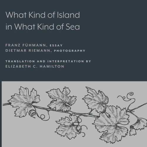 What Kind Of Island In What Kind Of Sea?