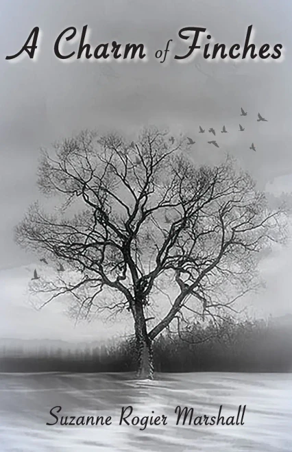 A Charm Of Finches