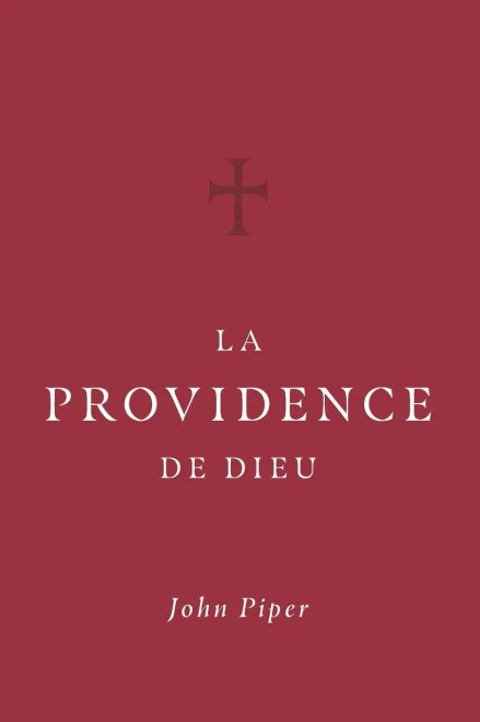 La Providence De Dieu (French Edition)