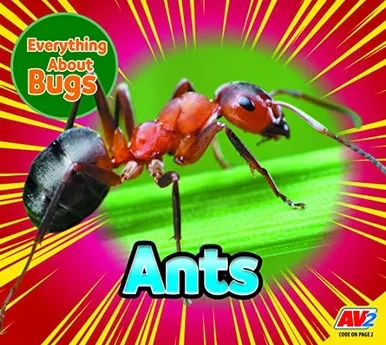 Ants (Everything About Bugs)