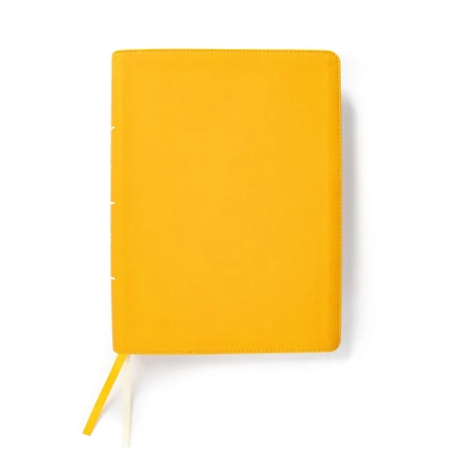 Csb Lifeway Women's Bible, Marigold Leathertouch