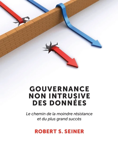 Gouvernance Non Intrusive Des Données: Le Chemin De La Moindre Résistance Et Du Plus Grand Succès (French Edition)
