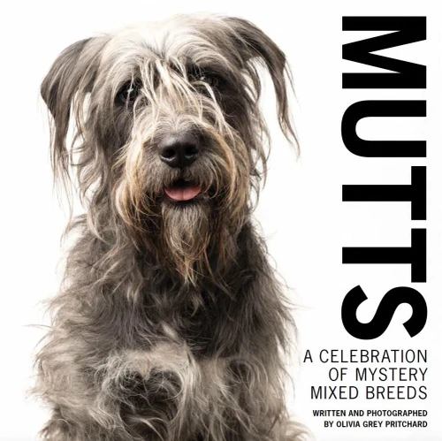 Mutts: A Celebration Of Mystery Mixed Breeds