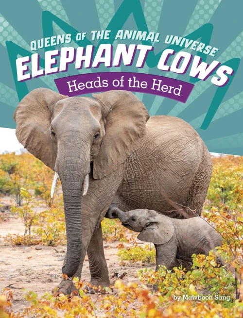 Elephant Cows: Heads Of The Herd (Queens Of The Animal Universe)