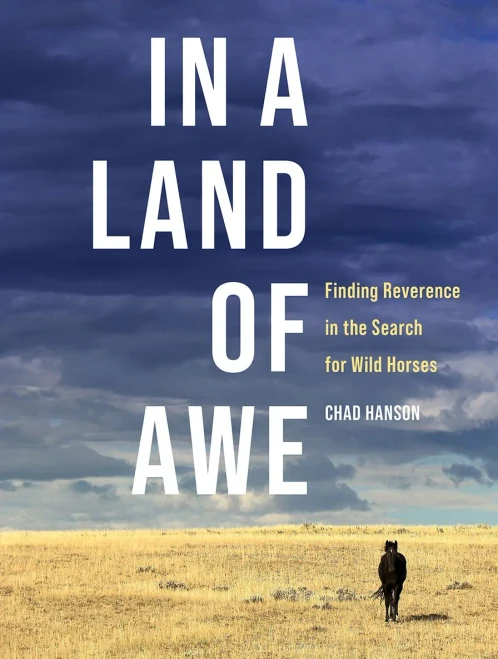 In A Land Of Awe: Finding Reverence In The Search For Wild Horses