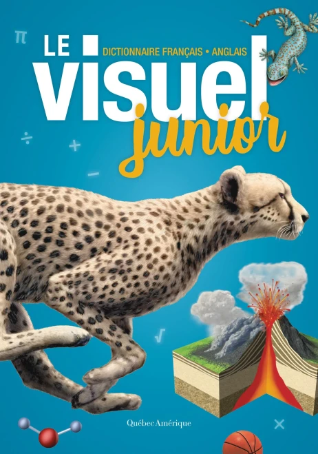 Le Visuel Junior: Dictionnaire Français - Anglais (English And French Edition)