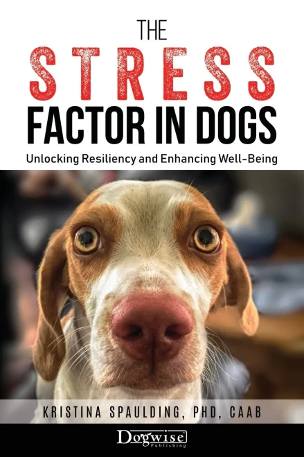 The Stress Factor In Dogs: Unlocking Resiliency And Enhancing Well-Being