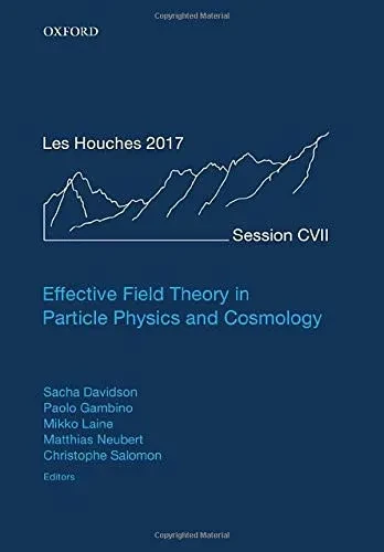 Effective Field Theory in Particle Physics and Cosmology: Lecture Notes of the Les Houches Summer School: Volume 108, July 2017