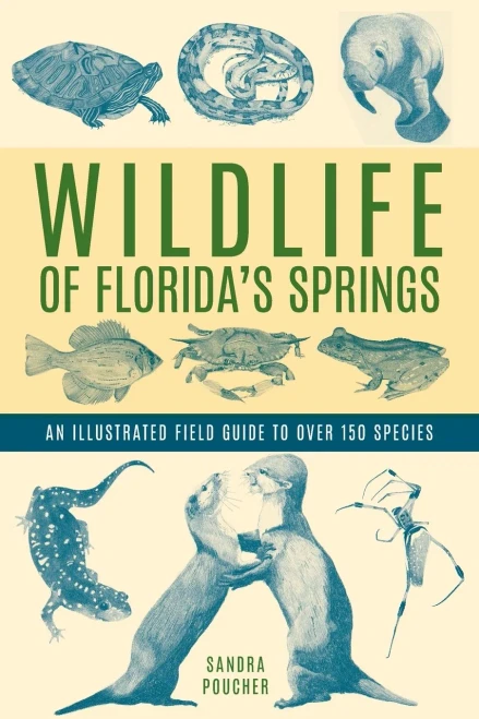 Wildlife Of Florida's Springs