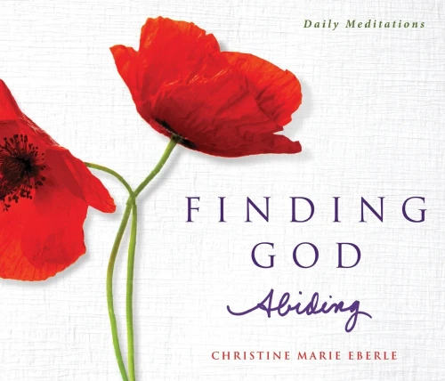 Finding God Abiding: Daily Meditations