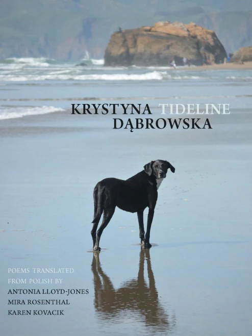 Tideline (New Polish Writing)