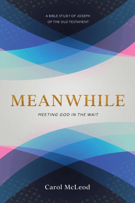 Meanwhile: Meeting God In The Wait