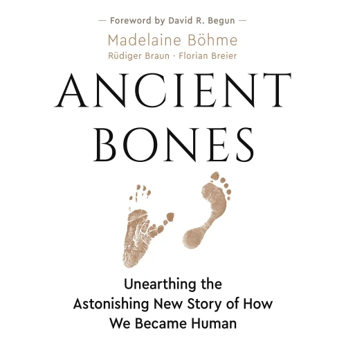 Ancient Bones: Unearthing The Astonishing New Story Of How We Became Human