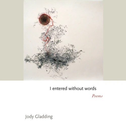 I entered without words: Poems (Princeton Series of Contemporary Poets, 168)