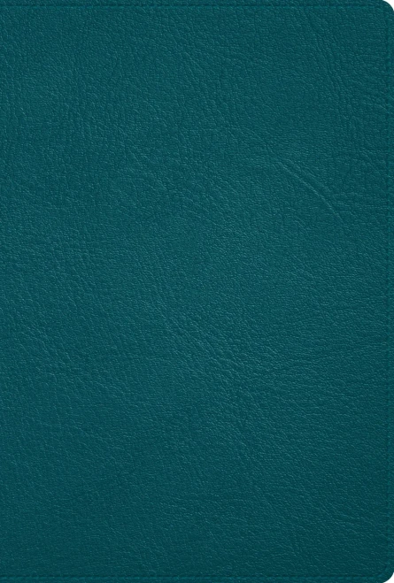 Biblia Deluxe turquesa, piel genuina / Deluxe bible turquoise, Genuine Leather (Spanish Edition)