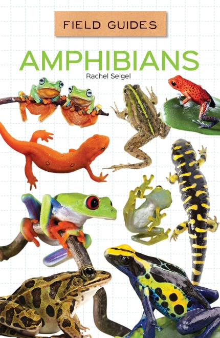 Amphibians (Field Guides)