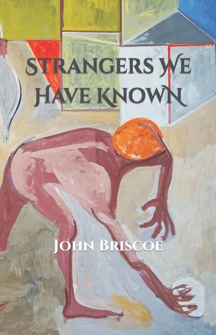 Strangers We Have Known (The Page Poets Series)