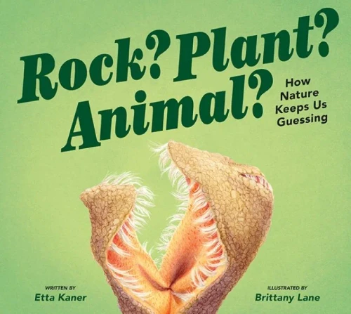 Rock? Plant? Animal?: How Nature Keeps Us Guessing