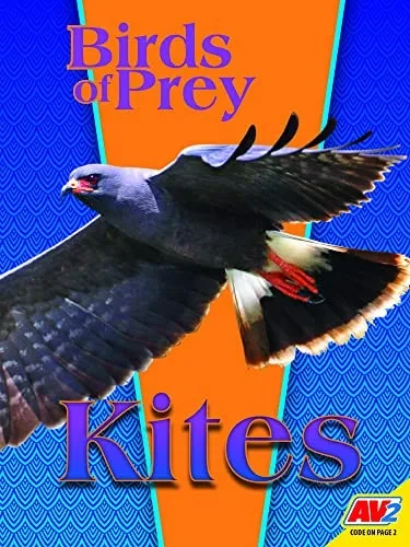 Kites (Birds of Prey)