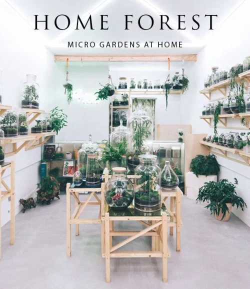 Home Forest: Micro Home Gardens - 9788499360935