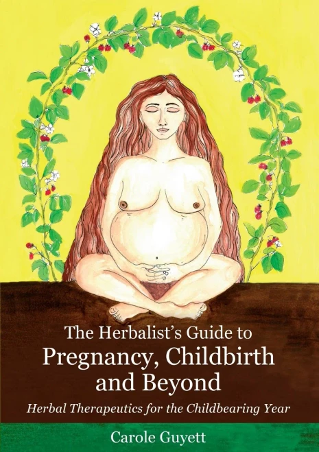 The Herbalist's Guide to Pregnancy, Childbirth and Beyond: Herbal Therapeutics for the Childbearing Year
