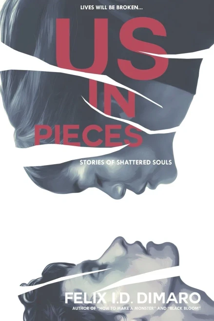 Us in Pieces: Stories of Shattered Souls