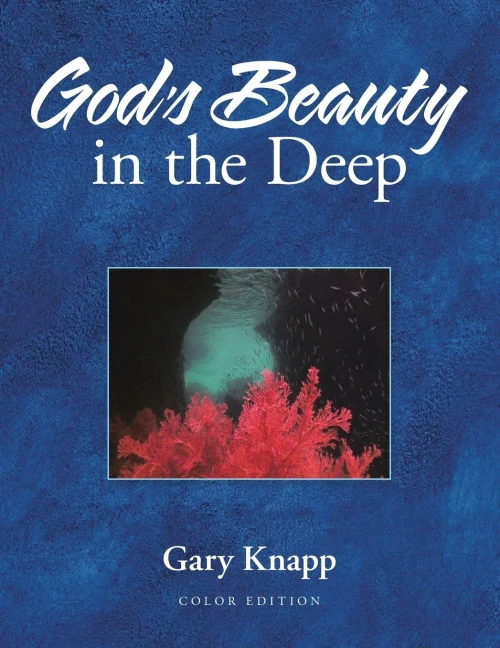 God's Beauty in the Deep - 9781664223103